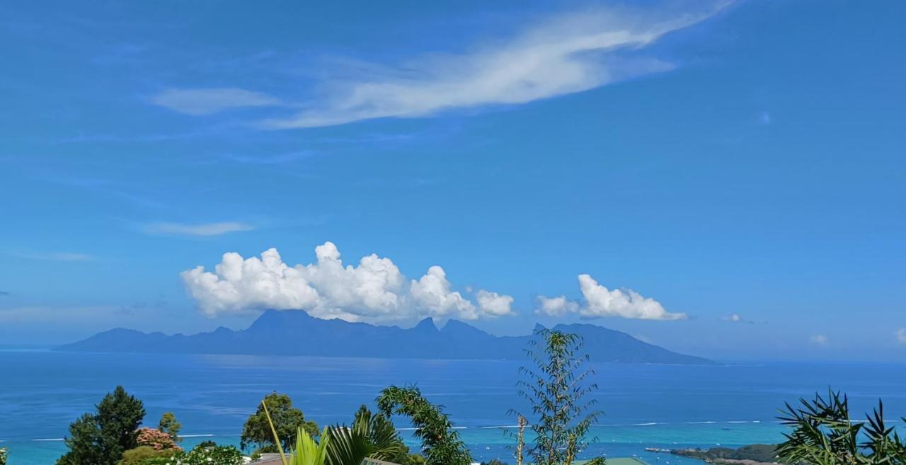 Studio Confort Avec Piscine Et Vue Tahiti Punaauia エクステリア 写真