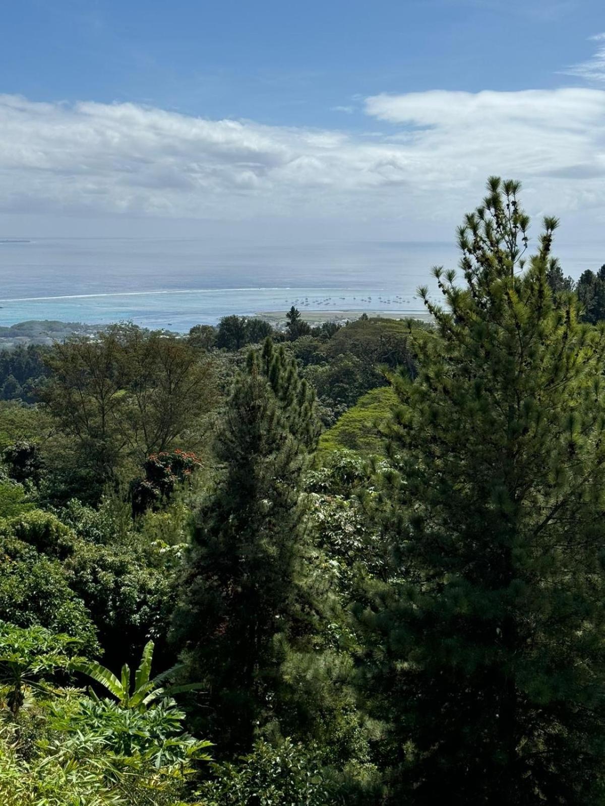 Studio Confort Avec Piscine Et Vue Tahiti Punaauia エクステリア 写真