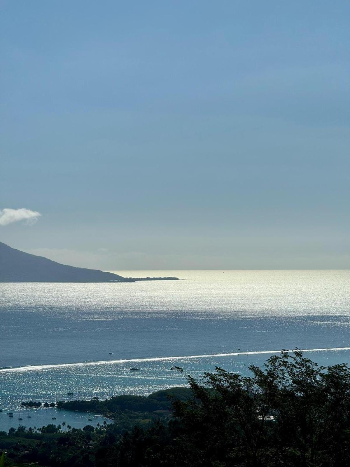 Studio Confort Avec Piscine Et Vue Tahiti Punaauia エクステリア 写真